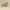 New Balance Streetwear Sportswear Sneakers Wanita Purple