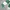 Carhartt Luxury Casual Polo shirt Pria multicolor green photo 4