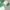 Carhartt Luxury Casual Polo shirt Pria multicolor green photo 5