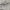 WHO.A.U Casual Hoody Pria cream photo 4