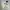WHO.A.U Casual Hoody Pria cream photo 1