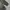 Carhartt Futurist Casual Polo shirt Pria white gray photo 4