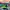 Zephyr D'Urban Casual Hat Pria Green Black