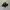 Nike Streetwear Casual Sneakers Pria black photo 1