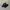 Nike Streetwear Casual Sneakers Pria Black