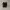 Nike Streetwear Casual Sneakers Pria black photo 3