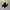 Stussy Streetwear Casual Sneakers Pria black photo 1