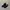 Stussy Streetwear Casual Sneakers Pria Black