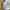Asics Casual Sneakers Pria white tan photo 2