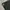 Jean-Michel Basquiat Streetwear Skater T-shirt Pria green photo 3