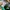Adidas Casual Sneakers Pria white green photo 6