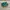 Adidas Casual Sneakers Pria white green photo 1