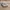 Asics Casual Sneakers Pria white cream photo 1