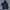 GAP Casual Parka Pria navy photo 1