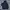 GAP Casual Parka Pria Navy