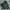 R. Athletic Casual Windbreaker Pria black photo 4