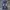 Nylaus Vintage Luxury Jeans Pria Navy