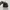 Salomon Casual Sneakers Pria black photo 4