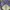 New Era Sportswear Pria purple photo 2