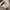 Japanese brand Streetwear Futurist Skirt Wanita multicolor photo 2