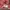 Japanese brand Streetwear Futurist Skirt Wanita multicolor photo 4