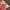Japanese brand Streetwear Futurist Skirt Wanita multicolor photo 3