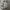 Louis Vuitton Streetwear Luxury Shirt Wanita multicolor photo 3
