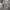 Louis Vuitton Streetwear Luxury Shirt Wanita multicolor photo 4