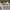 Louis Vuitton Streetwear Luxury Shirt Wanita multicolor photo 5