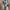 8seconds Streetwear Indie Cardigan Pria multicolor photo 3