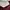 Dickies Streetwear Casual Casual pants Pria multicolor photo 7