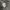 Uniqlo Streetwear Bomber jacket Pria green photo 5