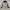 Yonex Sportswear Casual Windbreaker Pria Gray