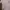 Coquette Casual Fur coat Wanita cream photo 4
