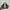 VANS Casual Sneakers Pria white brown photo 2