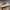 Converse Streetwear Casual Sneakers Pria white blue photo 2