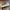 Converse Streetwear Casual Sneakers Pria White Blue