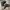 Gorpcore Grunge Boots Pria black photo 6