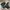 Gorpcore Grunge Boots Pria black photo 5