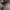 Michael Kors Vintage Handbag Wanita white photo 6