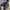 Vintage Streetwear Short Pria black photo 3