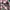 Casual Sweatshirt Pria multicolor photo 3