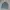 Vintage Streetwear Harrington Jacket Pria Multicolor