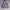 Nike Air Jordan Casual Sweatshirt Pria gray photo 1