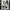 Adidas Streetwear Casual Sneakers Pria white black photo 2