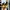 Nike Streetwear Casual Sneakers Pria multicolor photo 2