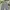Streetwear Y2K Jeans Pria multicolor photo 4