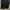 Adidas Streetwear Sportswear Pria black photo 7