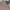 Carhartt Streetwear Y2K Casual pants Pria multicolor photo 2