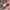 Carhartt Streetwear Y2K Casual pants Pria multicolor photo 7